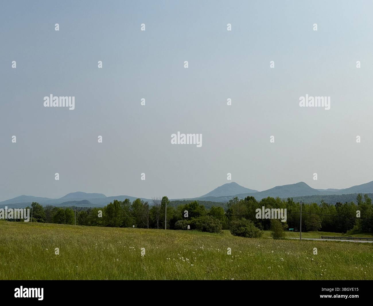 Ausgedehntes ländliches Feld mit hohem Gras und Wildblumen, das sich unter klarem Himmel in Richtung der fernen Berge von Vermont erstreckt. - Smartphone-aufgenommenes Stockfoto