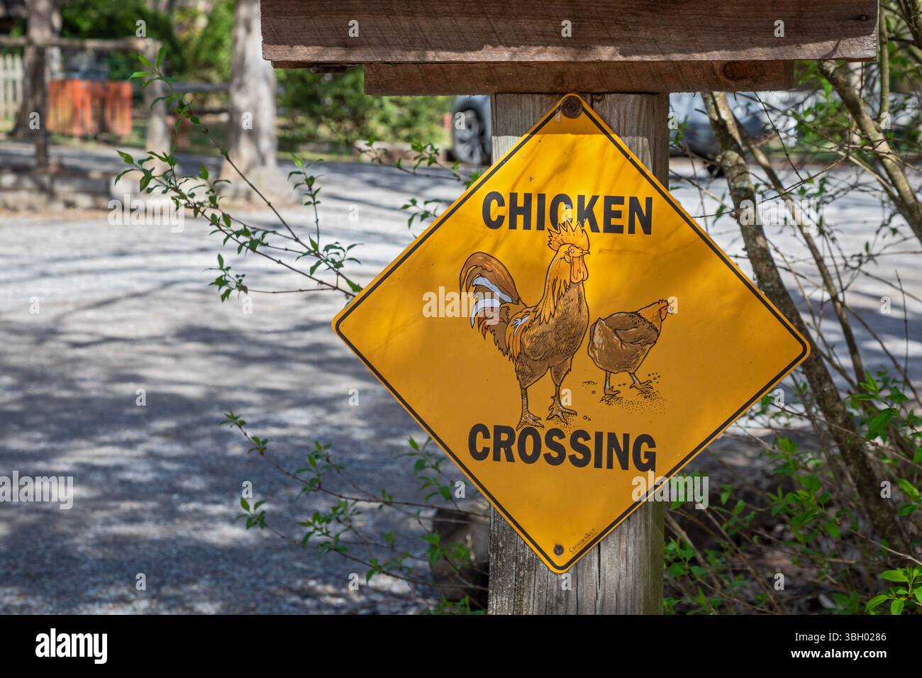Clinton, Tennessee – das Museum of Appalachia, eine Sammlung von Pionierbauten und Artefakten. Stockfoto