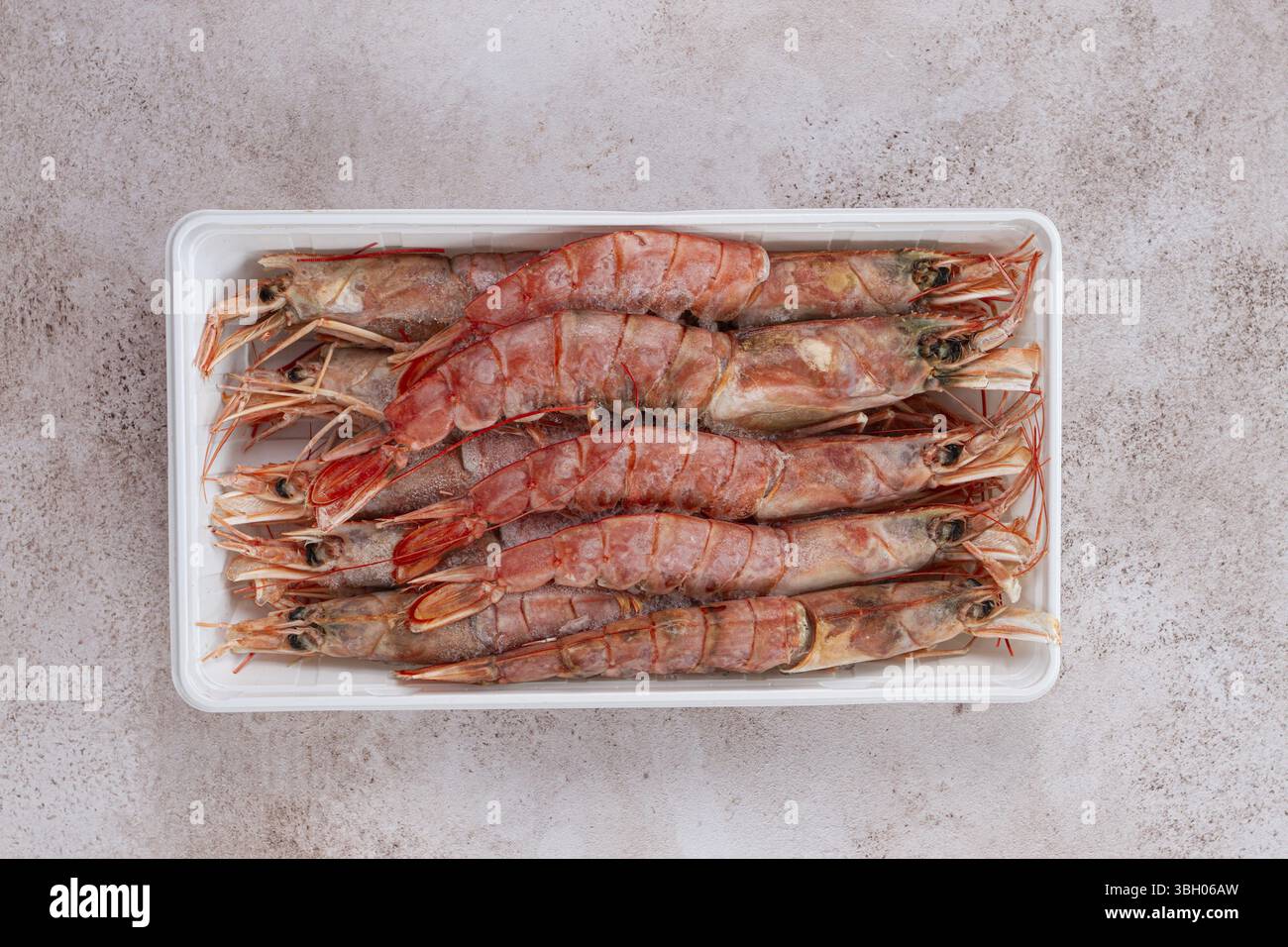 Frische, gefrorene argentinische Garnelen, in einem Container angelegt, Blick von oben, keine Leute Stockfoto