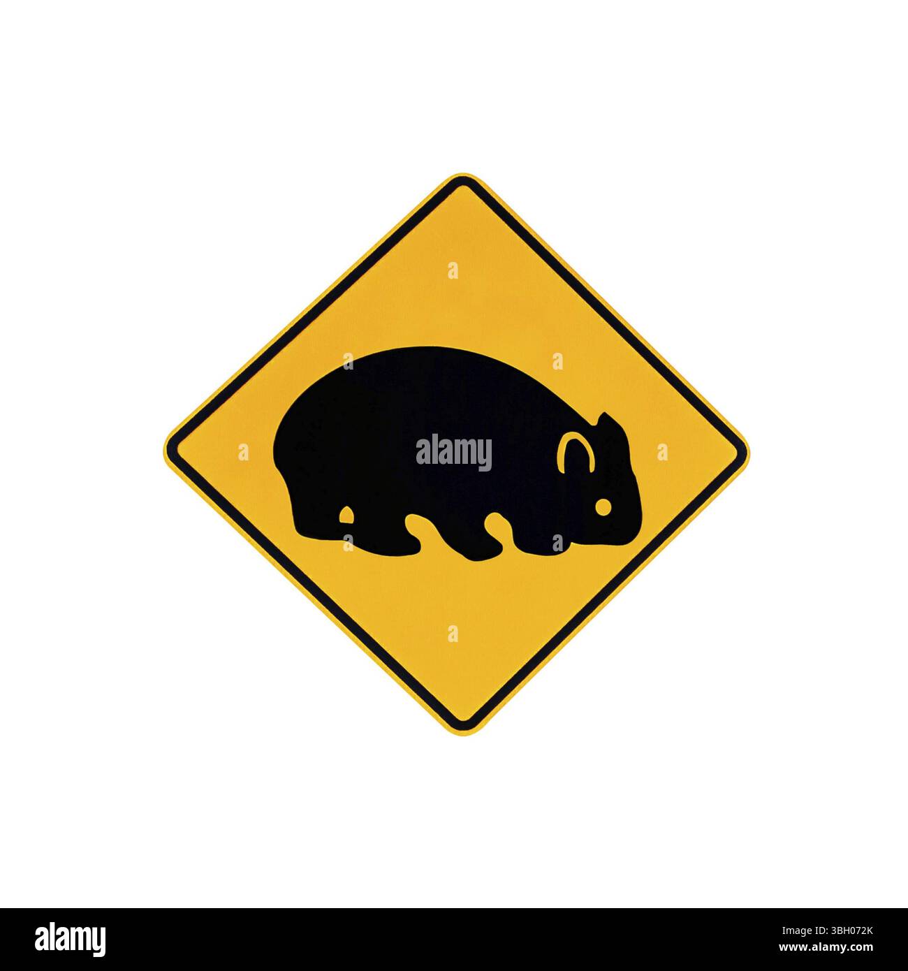 Australisches Warnschild für Wombat auf der Straße und auf den Autobahnen Australiens. Isoliert auf weiß Stockfoto