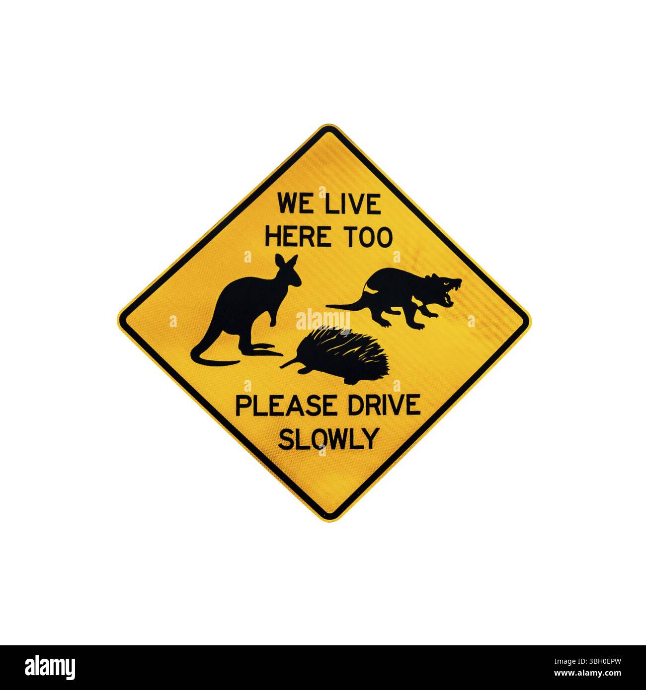 Tasmanische Wildtiere warnen vor tasmanischen Teufeln, Känguru und Echidna, die die Straße in Tasmanien überqueren. Isoliert auf weiß Stockfoto