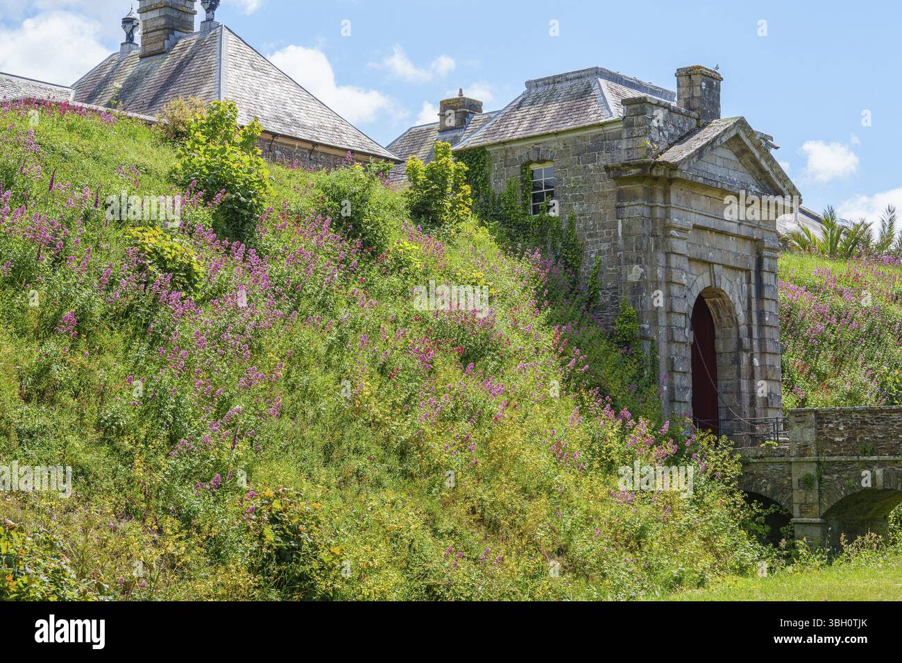 Altes Steinfestgebäude umgeben von grüner Vegetation und blühenden Pflanzen unter blauem Himmel, falmouth, cornwall, England, Vereinigtes Königreich, Europa Stockfoto