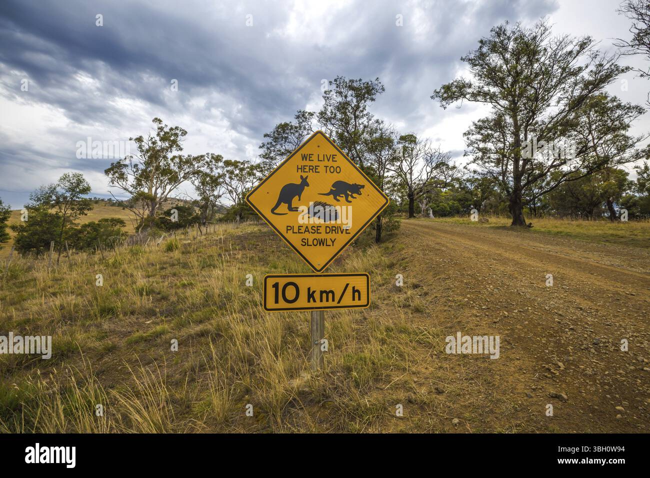 Warnschild für Wildtiere auf der tasmanischen schmutzigen Straße, bitte fahren Sie langsam, Kängurus, tasmanische Teufel und Echidnen leben hier auch Stockfoto