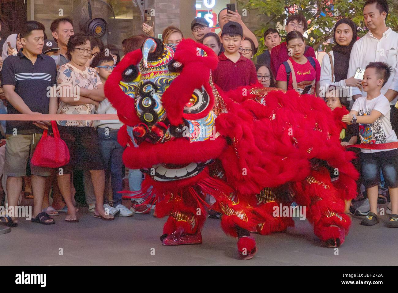 Jakarta, Indonesien - 9. Februar 2025: Barongsai, oder Löwentanz, ist eine traditionelle chinesische Aufführung, insbesondere während Feierlichkeiten wie dem Lunar Stockfoto