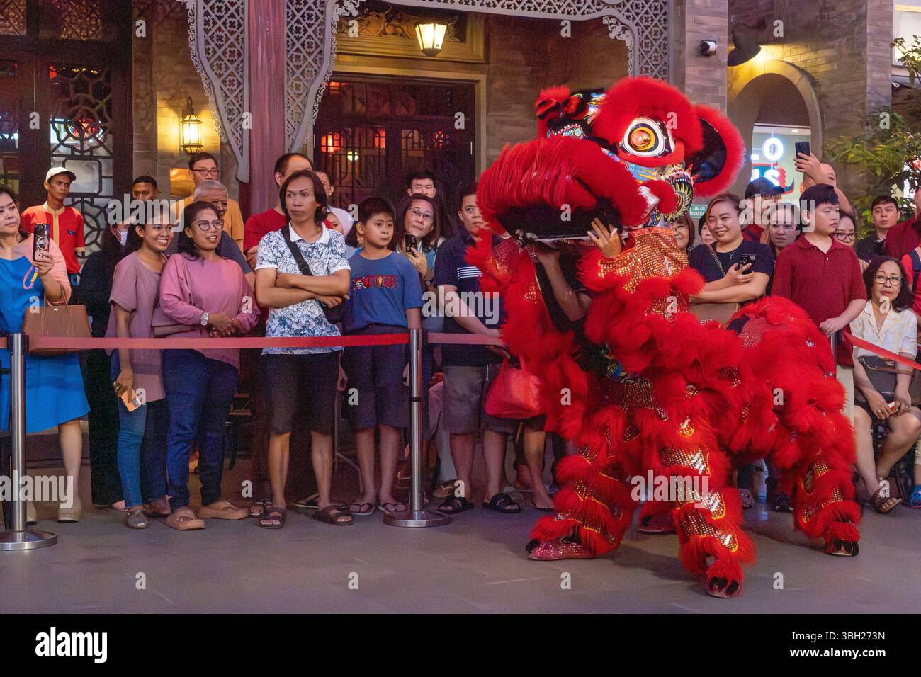 Jakarta, Indonesien - 9. Februar 2025: Barongsai, oder Löwentanz, ist eine traditionelle chinesische Aufführung, insbesondere während Feierlichkeiten wie dem Lunar Stockfoto