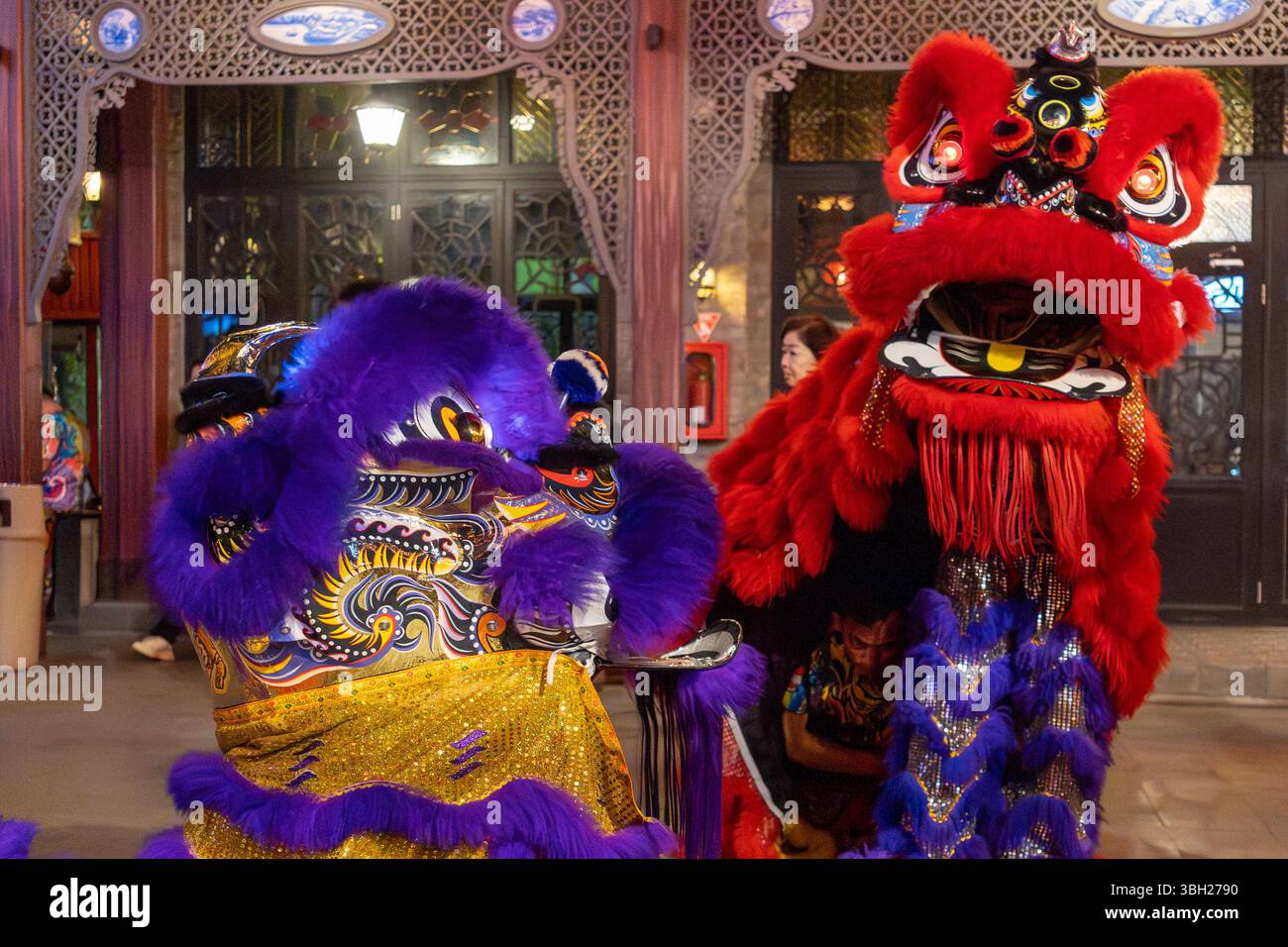 Jakarta, Indonesien - 9. Februar 2025: Barongsai, oder Löwentanz, ist eine traditionelle chinesische Aufführung, insbesondere während Feierlichkeiten wie dem Lunar Stockfoto