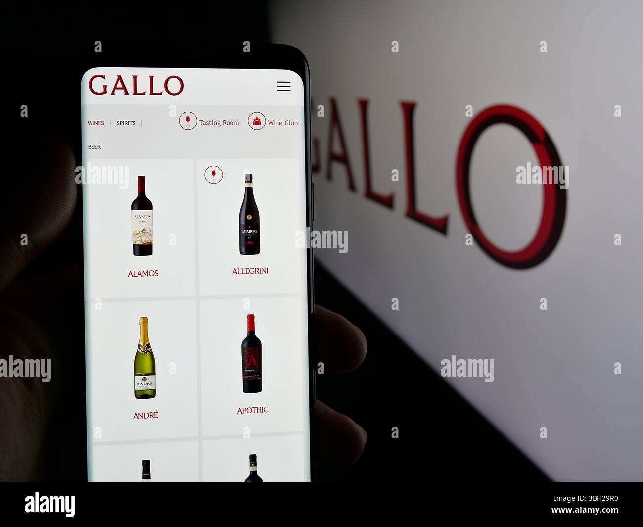 Deutschland. Mai 2025. In dieser Fotoabbildung hält eine Person ein Handy mit der Webseite des US-amerikanischen Weinherstellers E. J. Gallo Winery auf dem Bildschirm vor dem Logo. (Foto von Timon Schneider/SOPA Images/SIPA USA) *** ausschließlich für redaktionelle Nachrichten *** Credit: SIPA USA/Alamy Live News Stockfoto