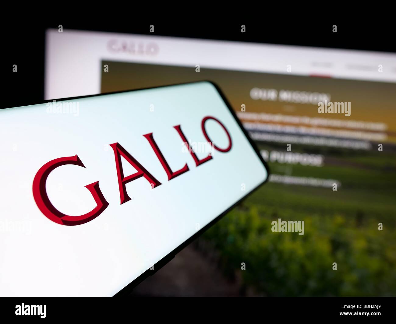 Deutschland. Mai 2025. In dieser Abbildung ist ein Smartphone mit dem Logo des US-amerikanischen Weinherstellers E. J. Gallo Winery auf dem Bildschirm vor der Website zu sehen. (Credit Image: © Timon Schneider/SOPA Images via ZUMA Press Wire) NUR REDAKTIONELLE VERWENDUNG! Nicht für kommerzielle ZWECKE! Stockfoto