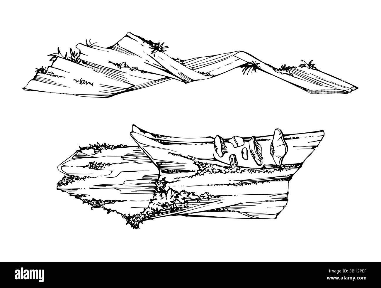Umgefallene Baumstammrinde, bedeckt mit Moosflechten-Pilzbewuchs. Waldbodendetritus Biodiversität Habitat. Vektor-Tinte mit einem einzelnen Element Stock Vektor