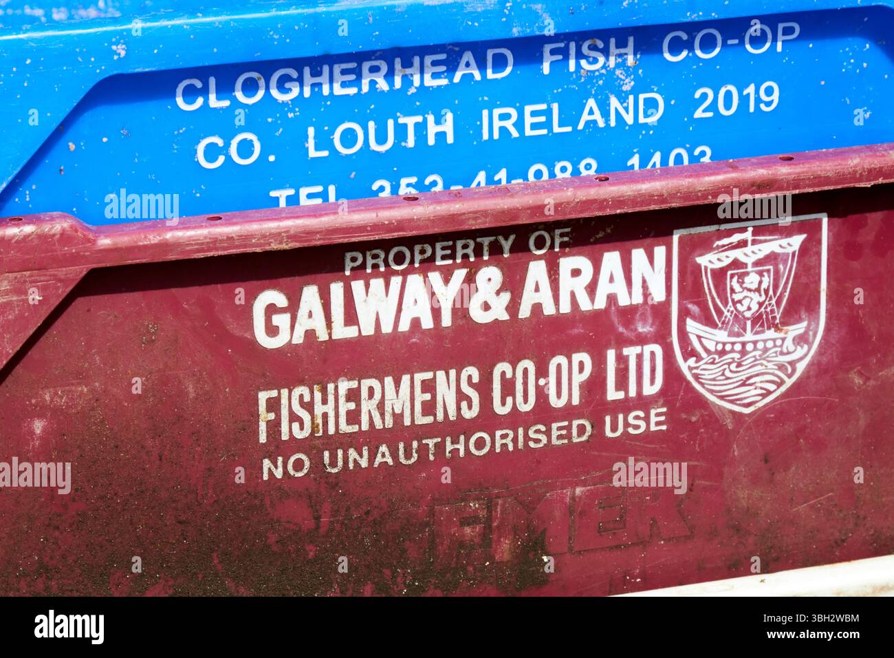 Fischkisten aus der Coogherhead Fish Co-op und tge galway und aran Fishing Co-op blacksod County Mayo republic of ireland Stockfoto