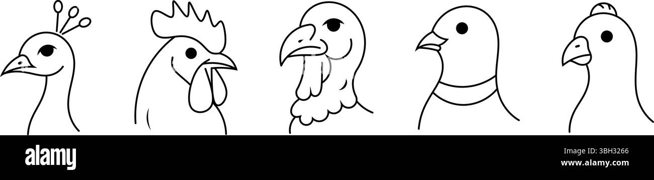 Bird Species Face Outline Collection – Pfauen, Hähne, Truthühner, Tauben und Papageien in minimalistischer Linienkunst. Stock Vektor