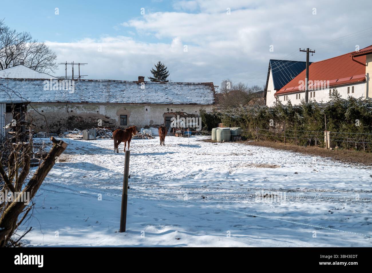 Schneebedeckter ländlicher Bauernhof mit zwei braunen Pferden, alten Gebäuden mit gekachelten Dächern und einem klaren Winterhimmel im Hintergrund Stockfoto