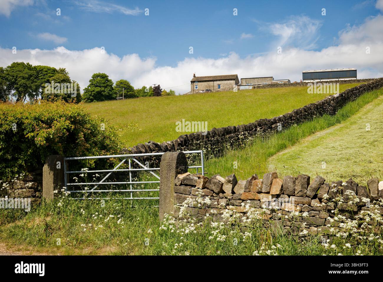 Bauernhof auf einem Hügel zwischen Weiden mit Trockenmauern und einem Farmtor im ländlichen Rochdale, Greater Manchester. Stockfoto