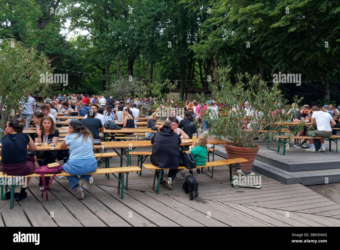 Cafe am neuen See, Tiergarten, Biergarten, Frühling, Berlin Stockfoto