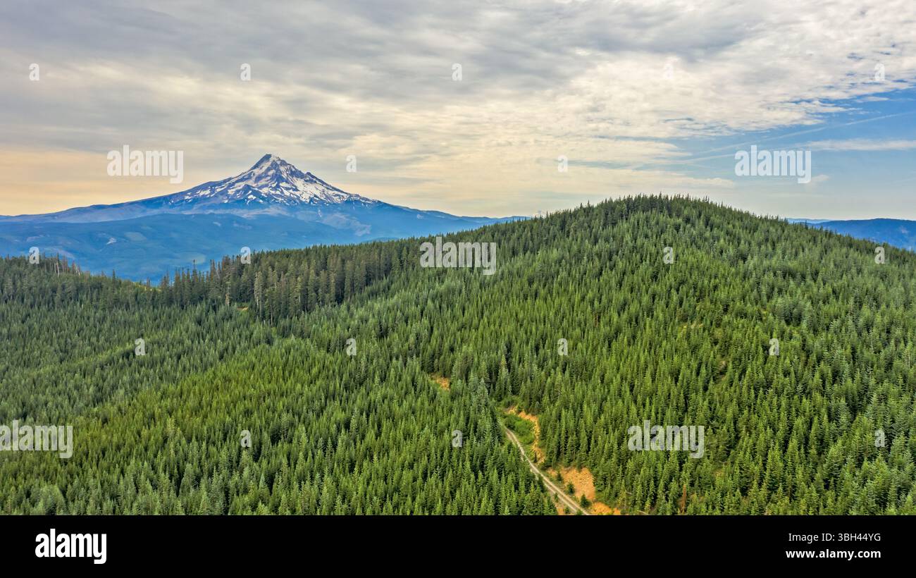 Ein malerischer Blick auf Mount Hood, Oregon, der sich über einem dichten Wald erhebt. Die Landschaft zeigt die natürliche Schönheit des pazifischen Nordwestens. Stockfoto
