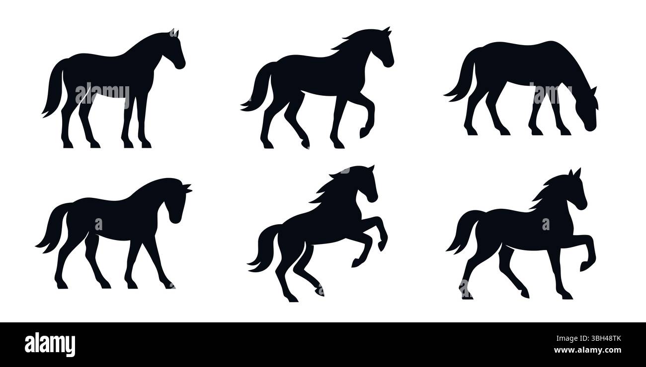 Set von Pferd Silhouette Tier Set isoliert auf weißem Hintergrund. Schwarze Pferde Grafik Element Symbol Vektor Illustration Stock Vektor
