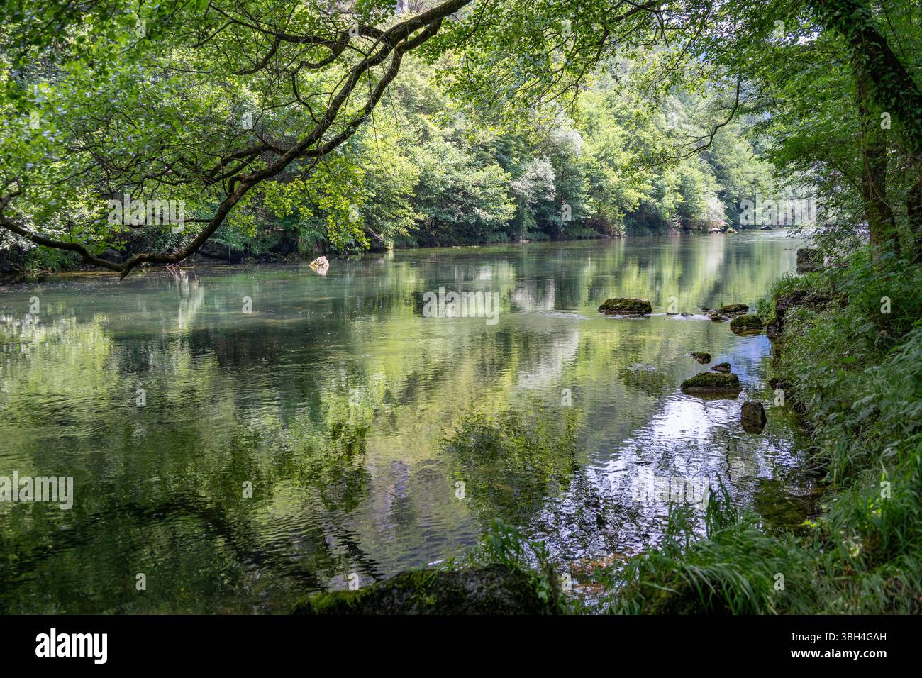 Fluss unterhalb des Matka Canyon, in der Nähe von Skopje, Nordmakedonien Stockfoto