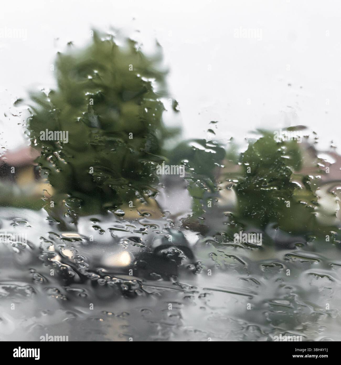 Verschwommener Blick auf die Straße durch das nasse Auto-Fenster. Regnerisches Wetter. Sicherheit Stockfoto