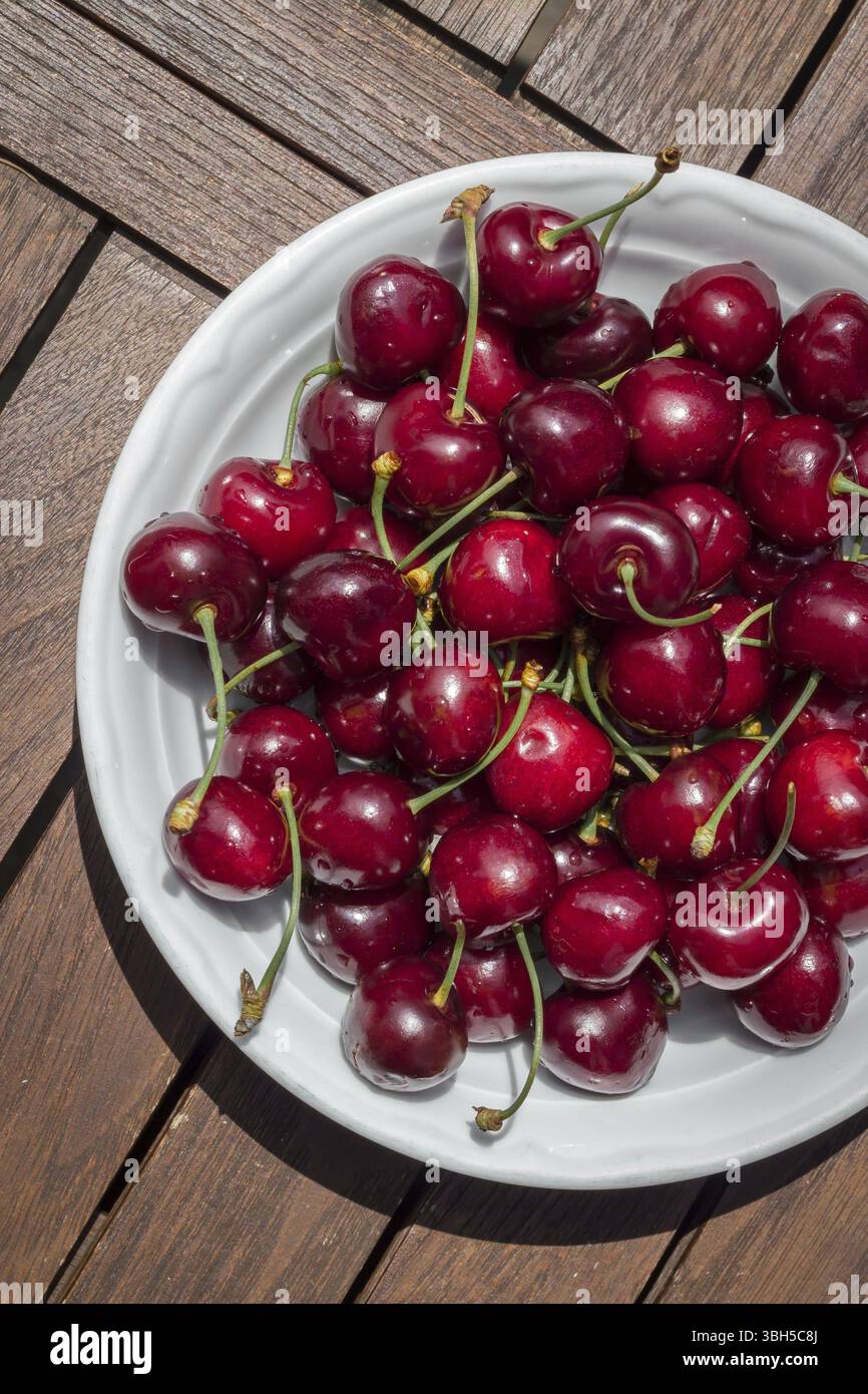 Reife frische, reiche Kirschen auf dem Teller. Hintergrund der Früchte. Oberer Freiheitsgrad Stockfoto