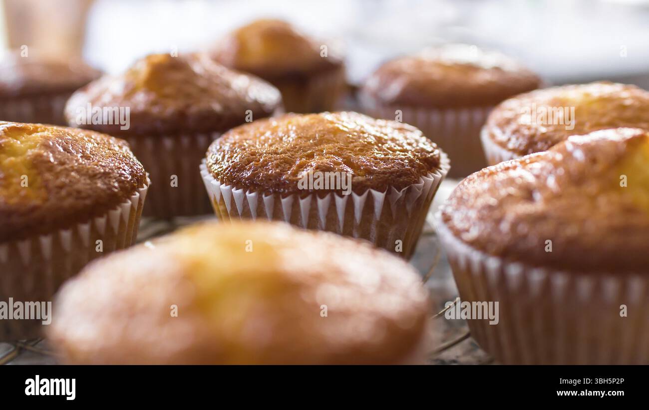 Batch an hausgemachten frisch gebackenen Kuchen oder Muffins Kühlung auf einem Regal in der Küche in der Nähe zu sehen, mit selektiven Fokus. Defokussierten blurry Ba Stockfoto