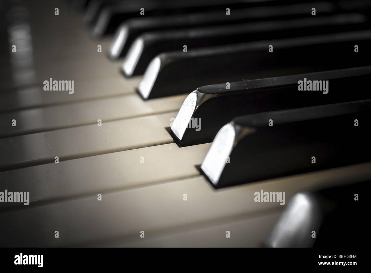 Extreme Nahaufnahme einer klassischen klassischen klassischen Klaviertastatur. Geringe Schärfentiefe. Unscharfer Hintergrund Stockfoto