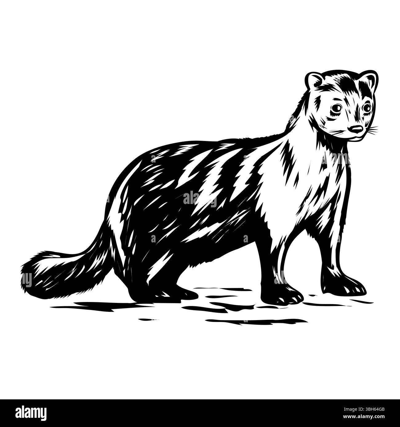 Retro-Holzschnitt-Illustration eines amerikanischen Nerzes oder Neogale Vison, einer semiaquatischen Art von Mustelliden, die in Nordamerika beheimatet ist, von Side on i aus gesehen Stock Vektor