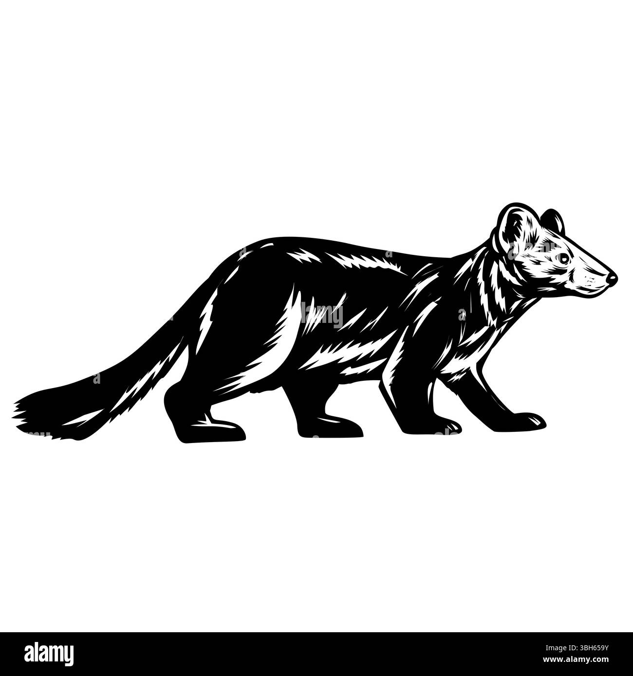 Retro-Holzschnitt-Illustration von Sable oder Martes zibellina, einer Marderart, einem kleinen allesfressenden Säugetier aus Russland, von Side auf iso gesehen Stock Vektor