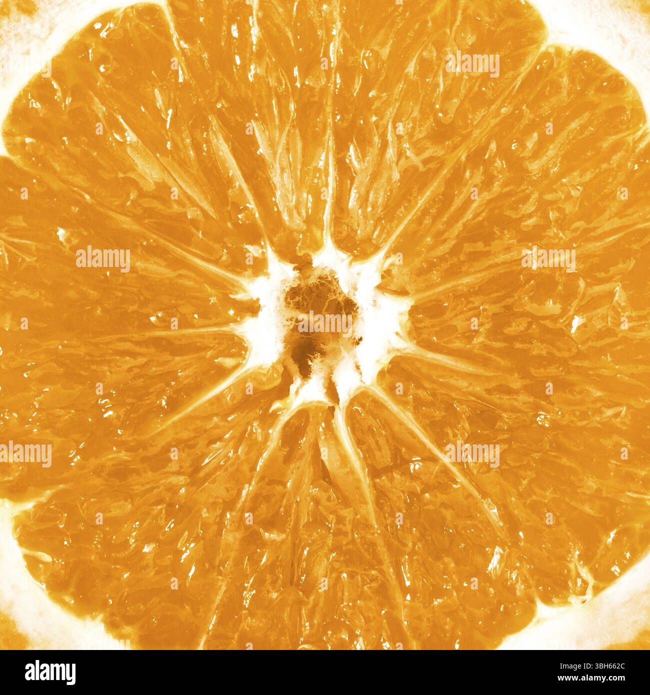 Hautdetails und Textur einer Orangenscheibe. Extreme Nahaufnahme. Ideen für den Hintergrund Stockfoto