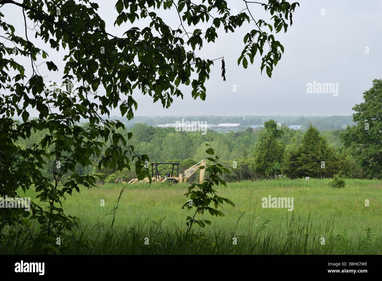 Die malerische Landschaft von Vermont, die natürlich von überhängenden Baumblättern im Vordergrund eingerahmt wird. Sanfte Hügel und üppiges Grün erstrecken sich bis in die Ferne Stockfoto
