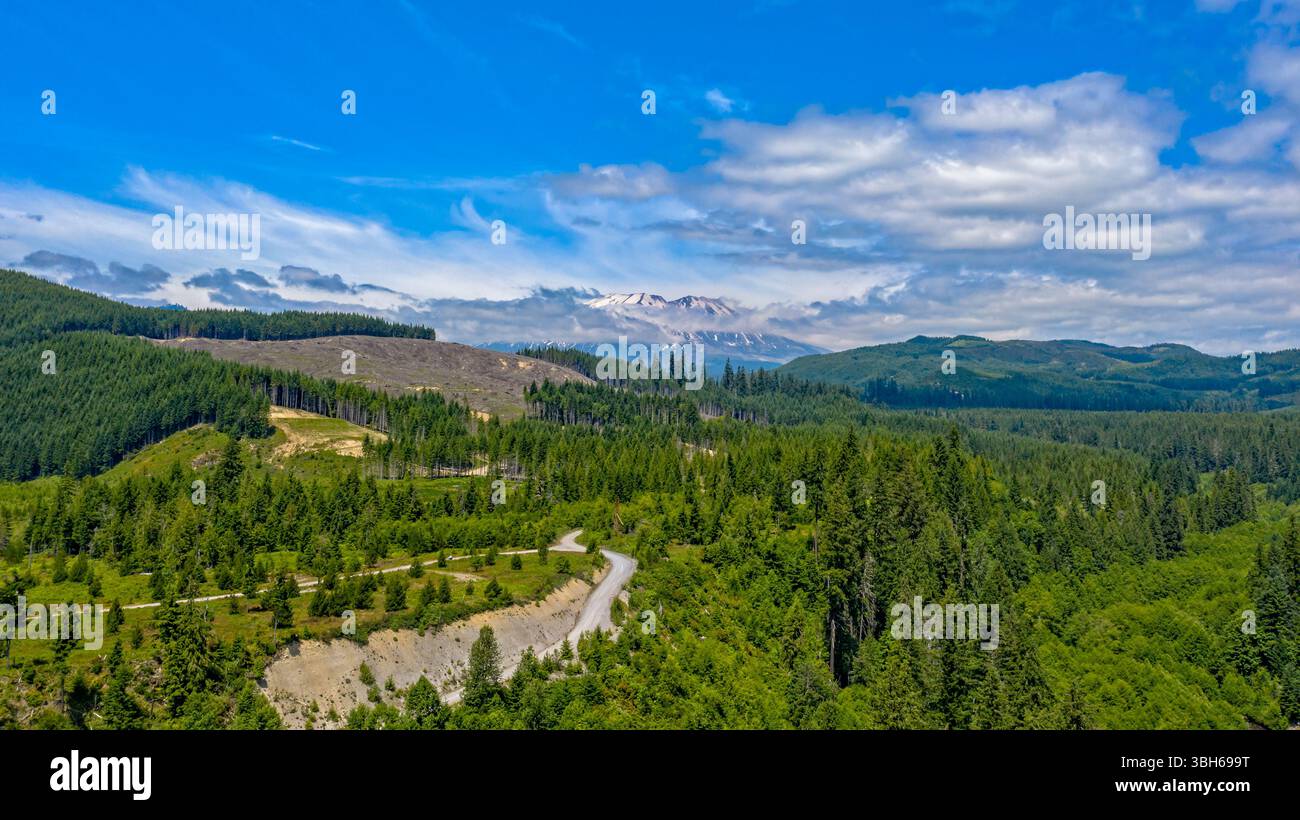 Gifford Pinchot National Forest - 4. Juli 2020: Eine gewundene Straße führt durch üppige Wälder, in der Ferne ist der Mount St. Helens zu sehen. Stockfoto