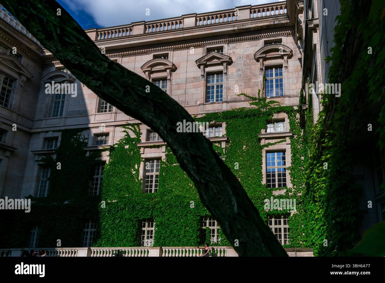 Ifebedeckte Bibliothekswand durch Baumstamm im Innenhof der Staatsbibliothek zu Berlin, in künstlerischer Perspektive dargestellt. Stockfoto