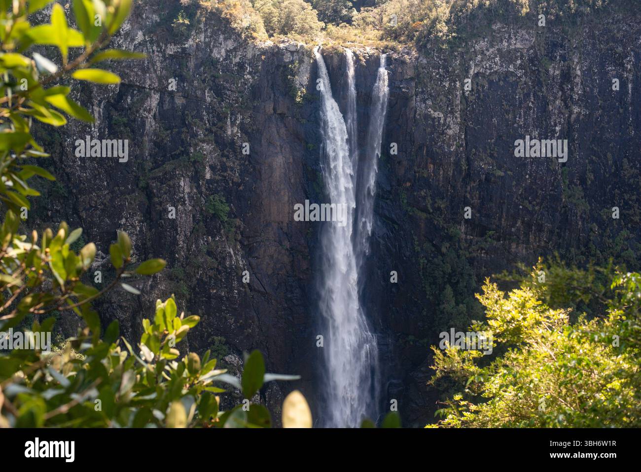 Wunderschöner Ellenborough Wasserfall in NSW Stockfoto
