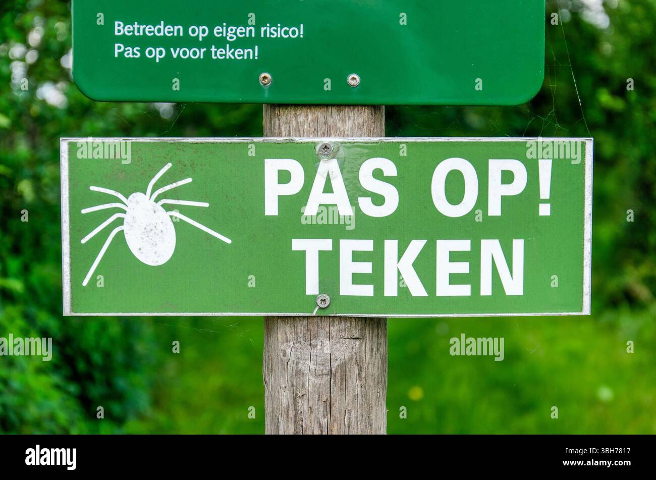 Cothen, Niederlande, 2. Juni 2025: Schild auf einem Wanderweg mit dem Rat, auf Niederländisch auf das Vorhandensein von Zecken zu achten Stockfoto
