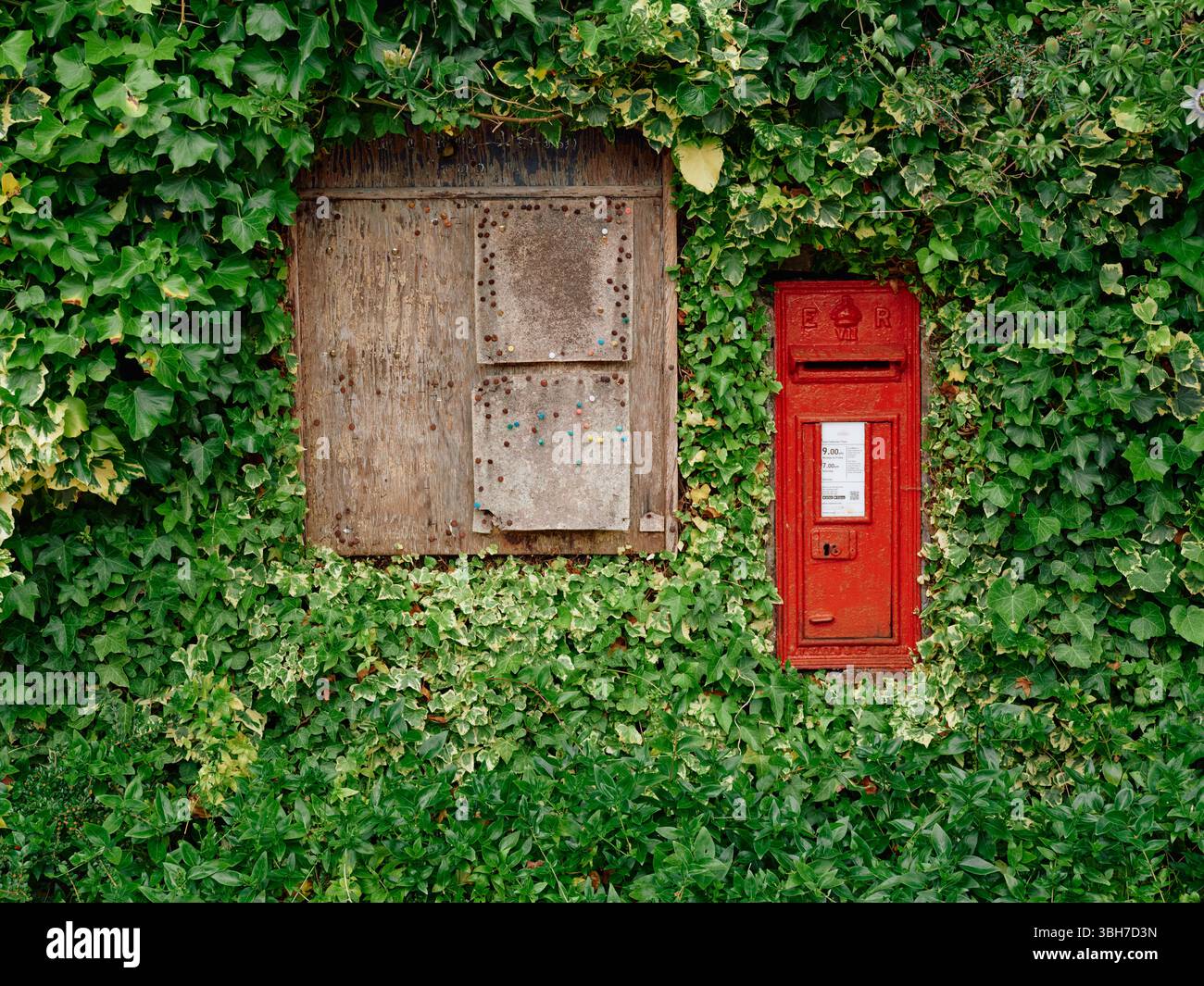 Ein ländliches Dorf, leere Pinnwand und roter Briefkasten von Royal Mail, eingerahmt von einer Ivy Hecke in Somerset England, Großbritannien Stockfoto