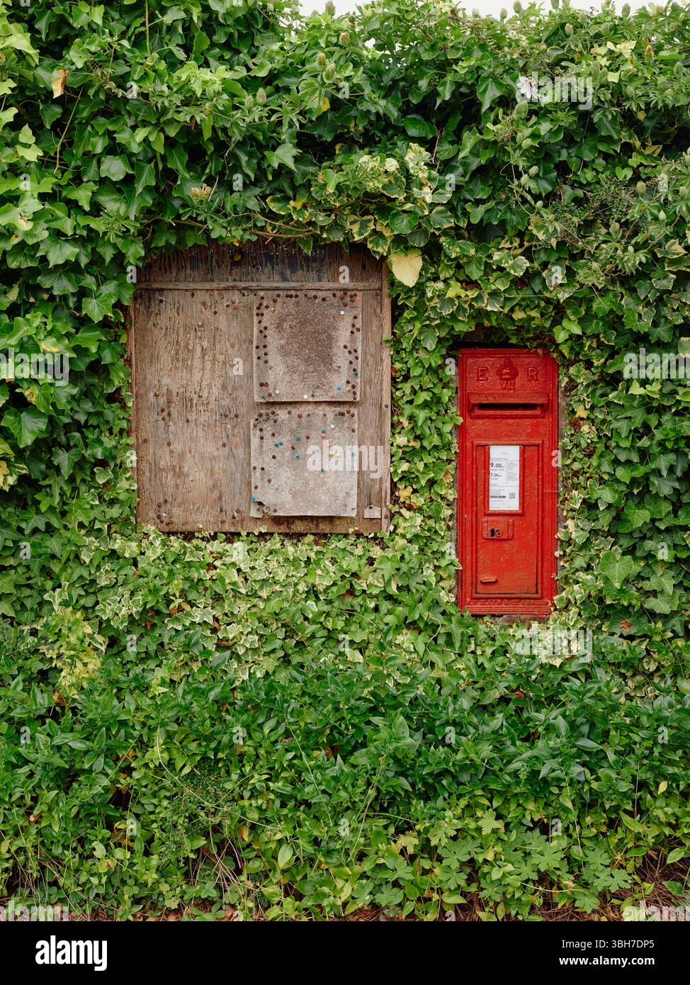 Ein ländliches Dorf, leere Pinnwand und roter Briefkasten von Royal Mail, eingerahmt von einer Ivy Hecke in Somerset England, Großbritannien Stockfoto