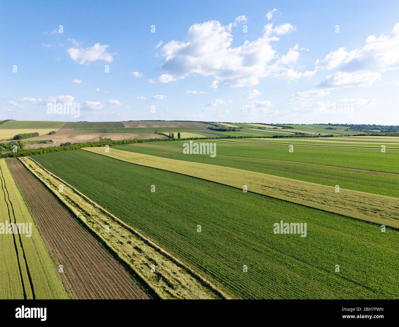 Luftaufnahme des landwirtschaftlichen Feldes. Stockfoto