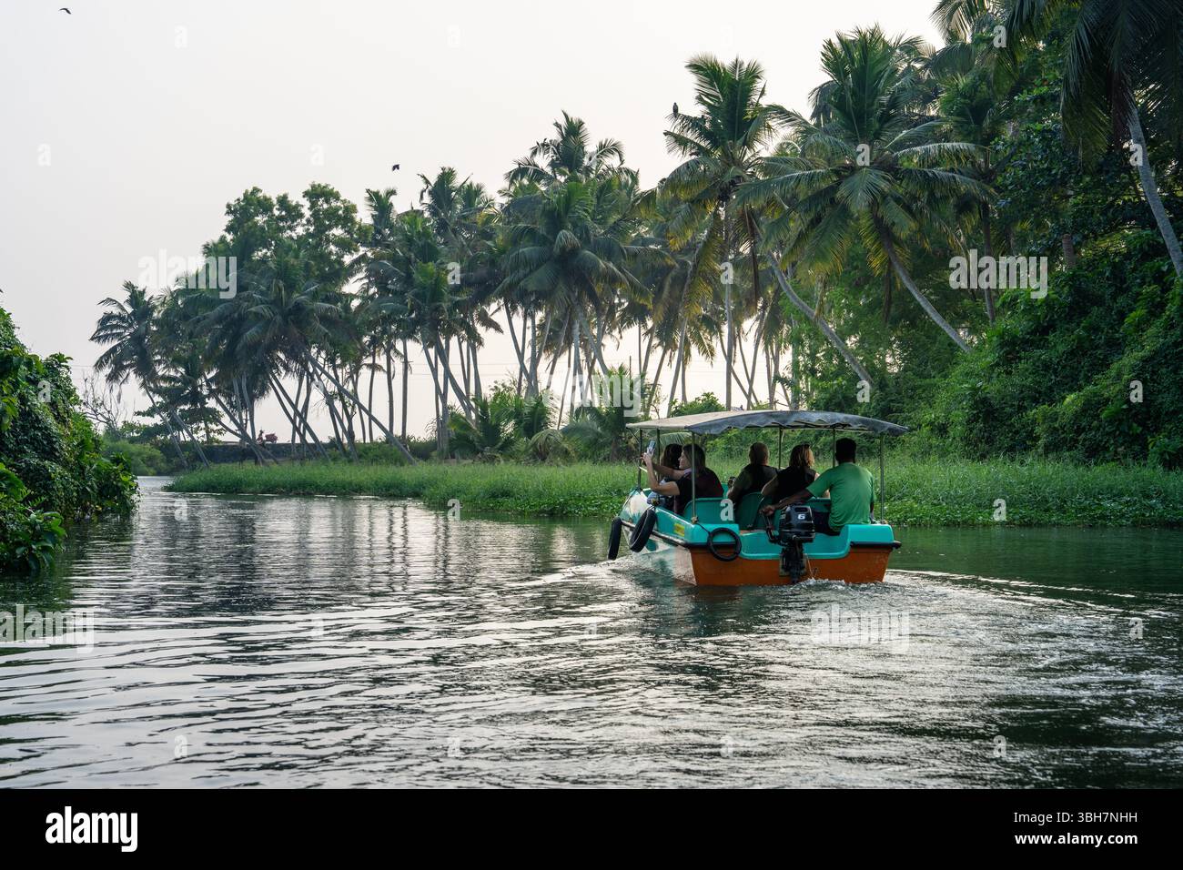Motorboot mit Touristen, die durch tropisches, von Palmen gesäumtes Nebenwasser in Kerala, Indien, gleiten und die friedliche Atmosphäre der Region einfangen Stockfoto