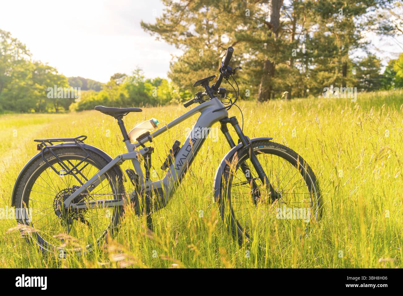 Ein Fahrrad steht auf einer sonnigen Wiese an einem klaren Sommertag, E-Bike Ausflug, Gechingen, Calw Bezirk, Deutschland, Europa Stockfoto