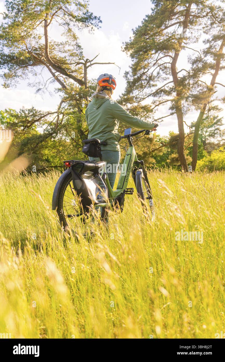 Eine Person steht mit einem Fahrrad im Gras, umgeben von Sonnenlicht, E-Bike-Ausflug, Gechingen, Stadtteil Calw, Deutschland, Europa Stockfoto