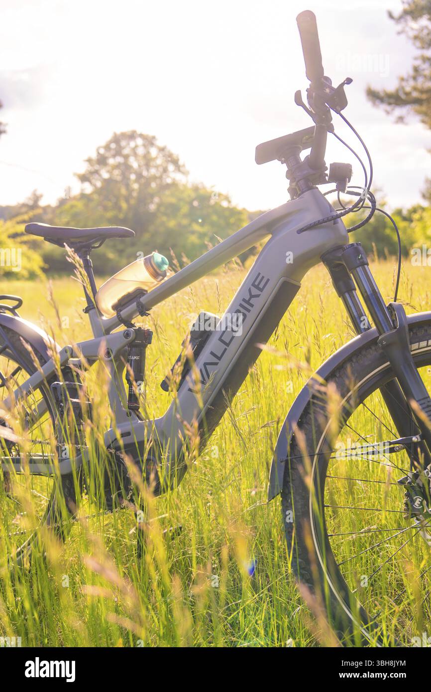 Ein Fahrrad im hohen Gras scheint im warmen Sonnenlicht eines Sommertages, E-Bike-Ausflug, Gechingen, Calw Bezirk, Deutschland, Europa Stockfoto