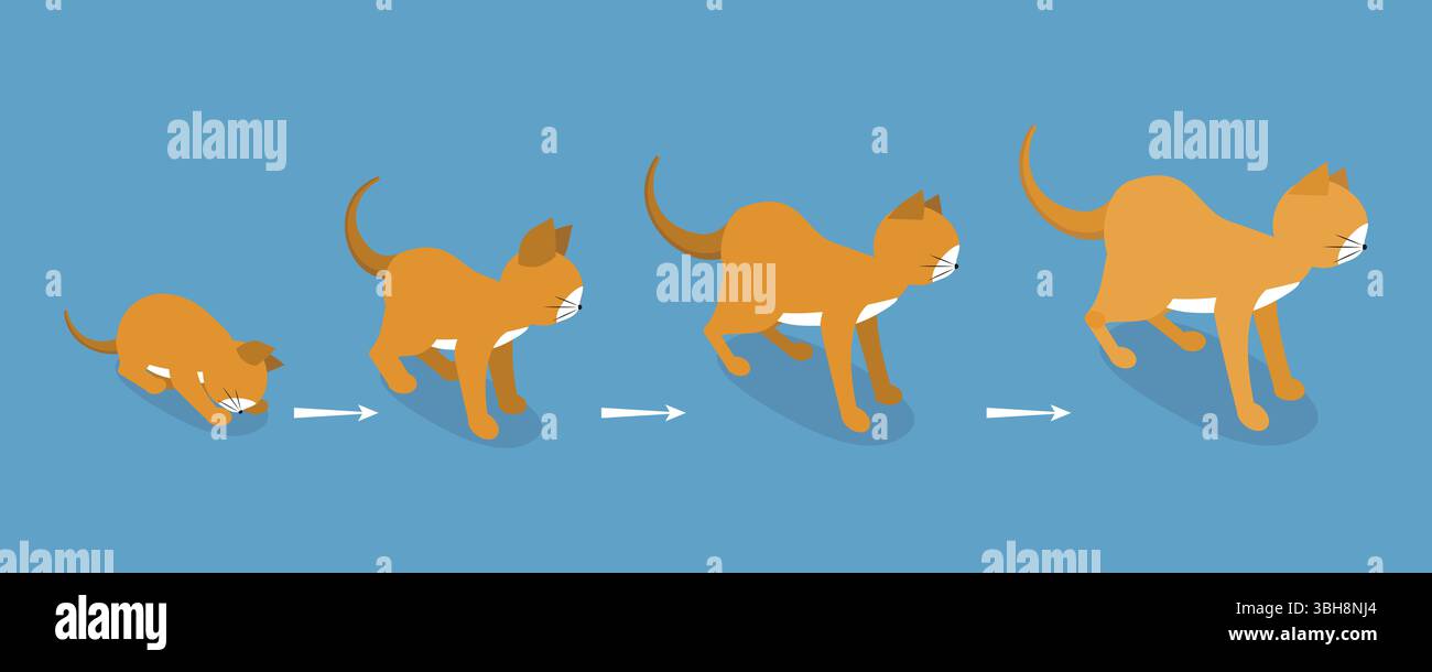 Isometrische flache 3D-Darstellung des Lebenszyklus von Katzen, Haustiere in verschiedenen Altersgruppen Stockfoto