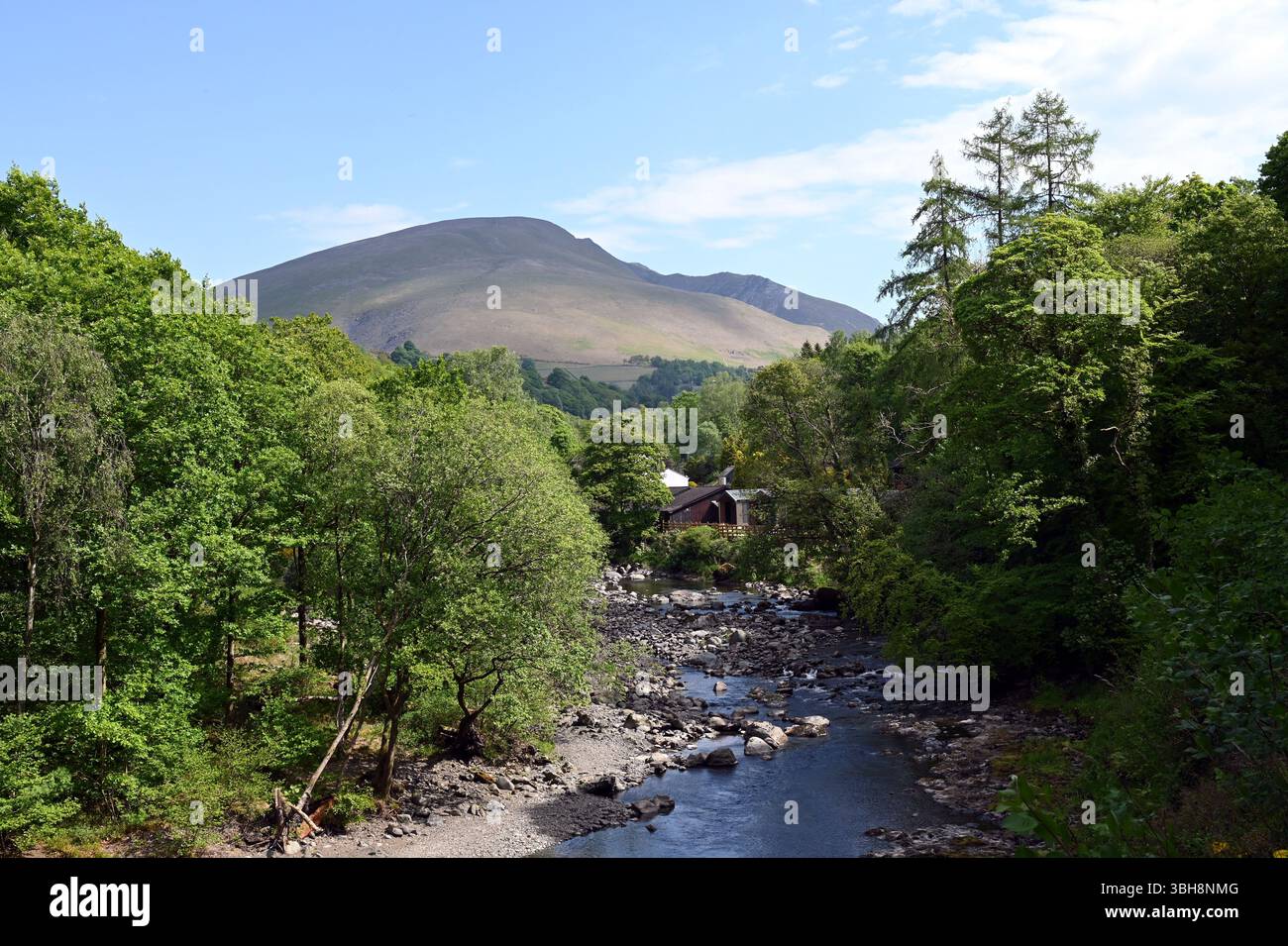 Der Fluss Greta entlang des Keswick to Threlkeld Rail Path. Blencathra ist im Hintergrund zu sehen. Stockfoto