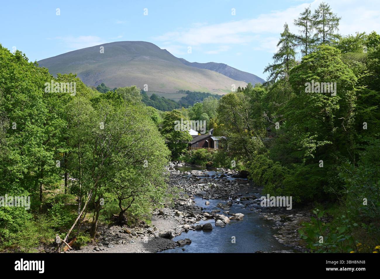 Der Fluss Greta entlang des Keswick to Threlkeld Rail Path. Blencathra ist im Hintergrund zu sehen. Stockfoto