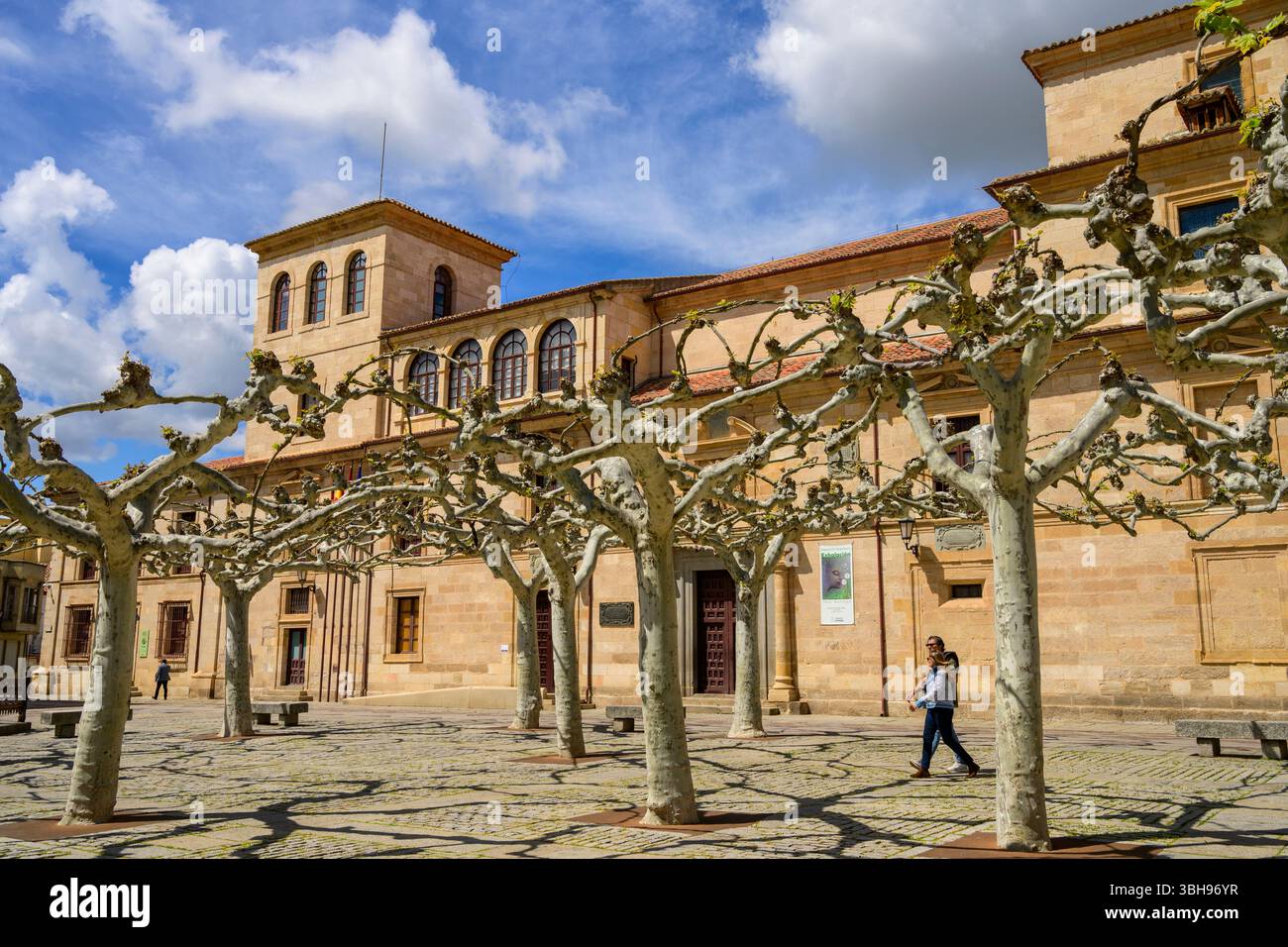 Platanen in Plaza de Viriato, Zamora, Kastilien und León, Spanien Stockfoto