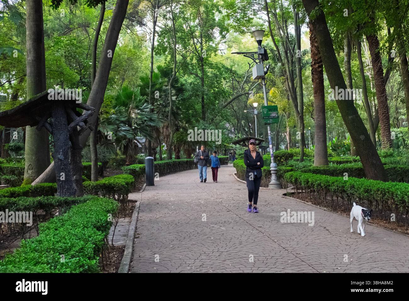 Mexico Park, Condesa Viertel, Mexiko Stadt Stockfoto