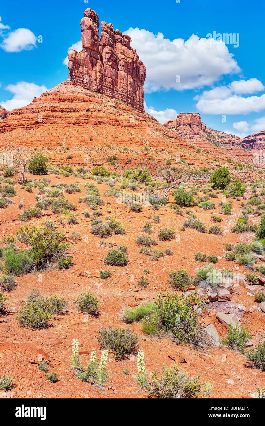 Valley of the Gods, Utah, USA, Stockfoto