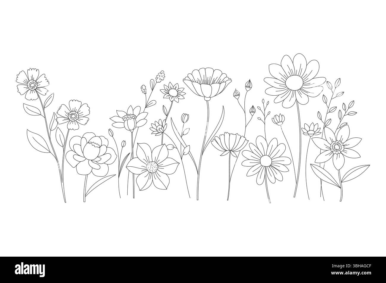 Elegante Wildblumen-Illustration, die zarte Linienkunst in einer botanischen Anordnung auf weiß zeigt Stock Vektor