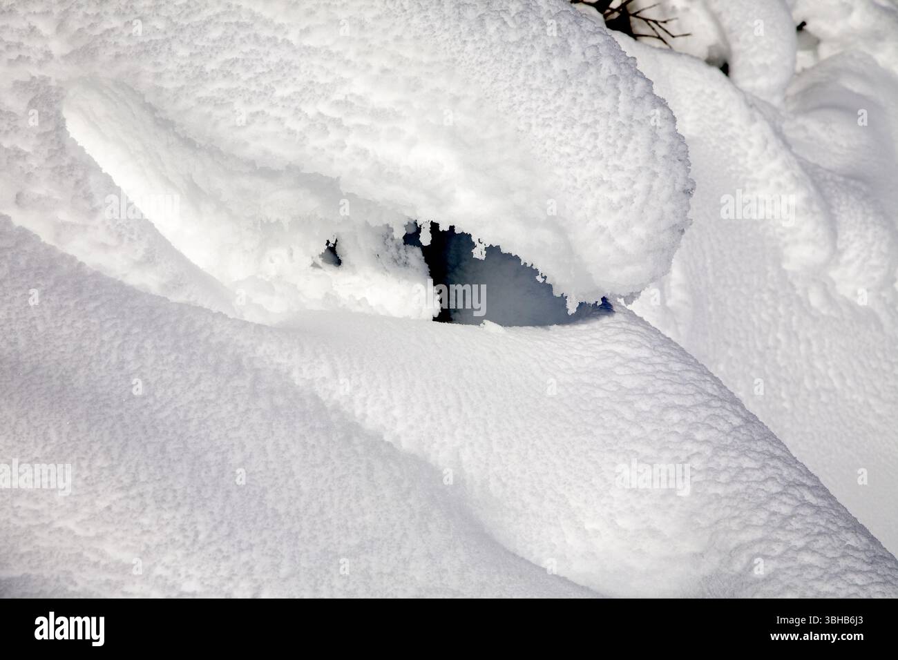 Snow Drift Shapes: Briar Edge Zwischen Woolston & Whittingslow, Nr Church Stretton, South Shropshire, West Midlands Stockfoto