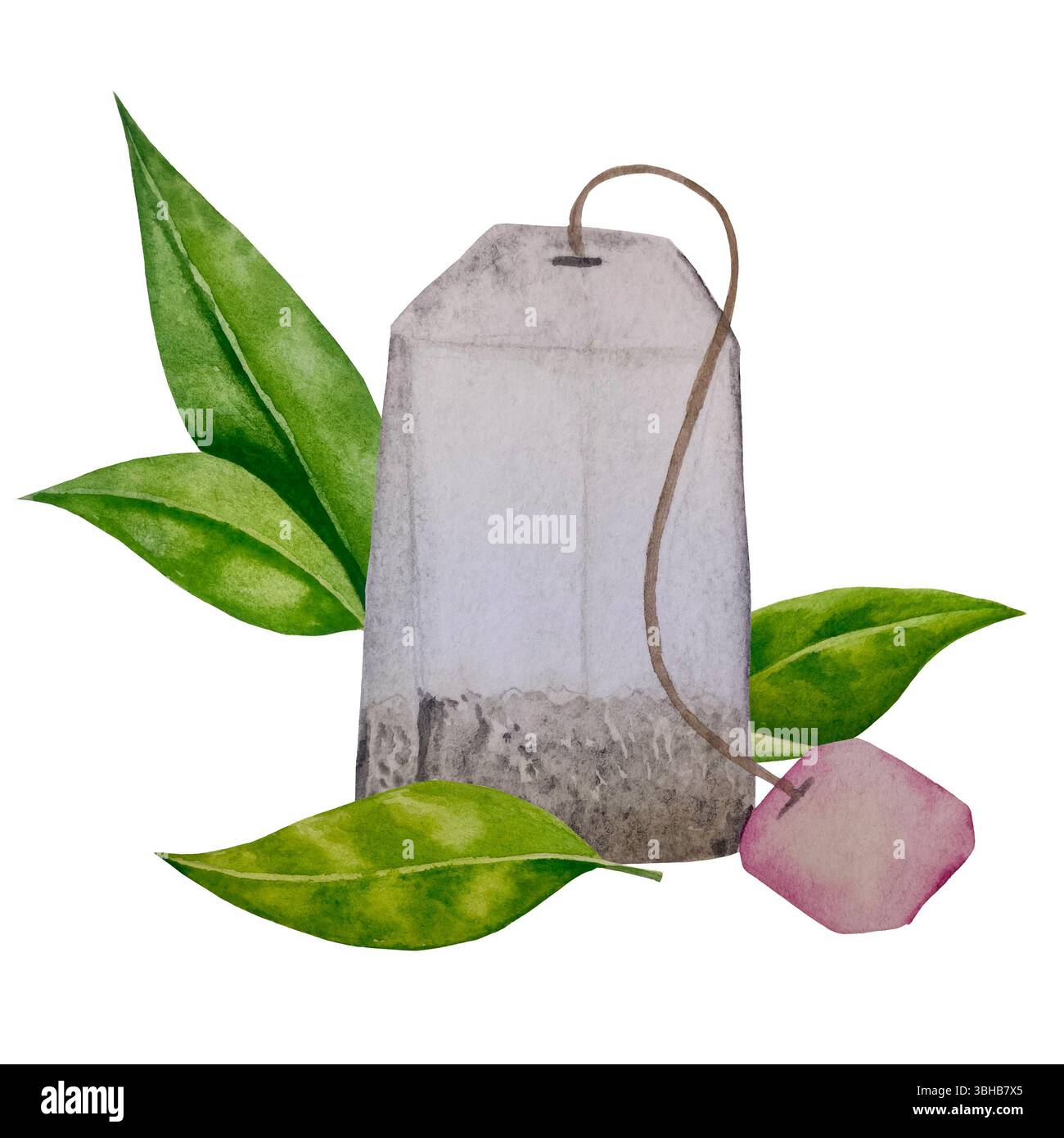 Grüne, frische Teeblätter, Tasse Tee und Wasserkocher, Teezeit mit Blumen und Beeren der Rosenhüte. Illustration zum internationalen Teetag. Wasserkol Stockfoto