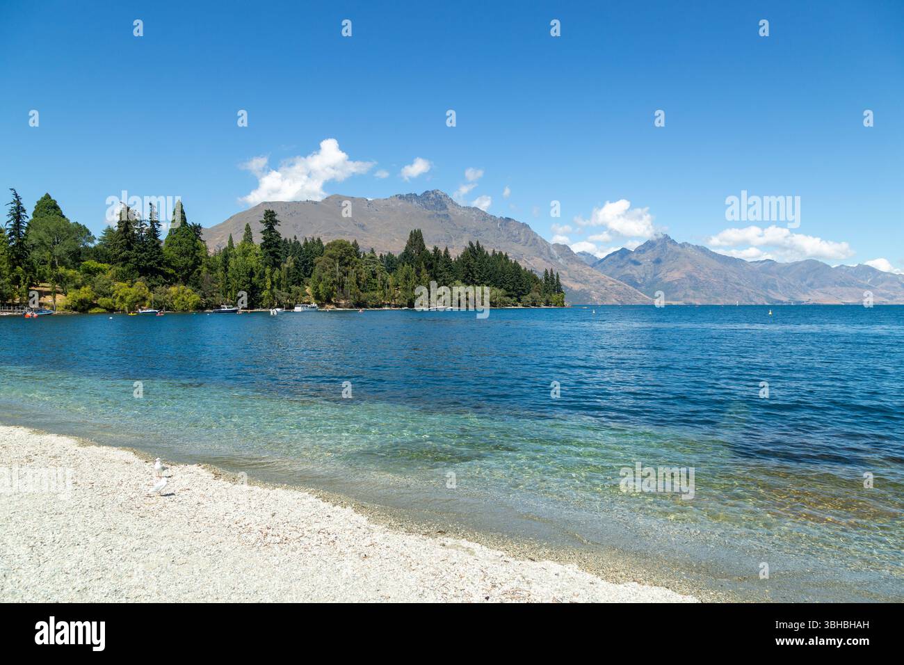 Wunderschönes klares Wasser des Lake Wakatipu am Queenstown Bay Beach, Queenstown, Otago, Neuseeland Stockfoto